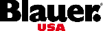 Logo Blauer Usa