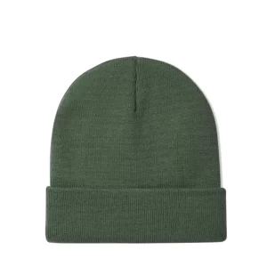 Dickies Capello Gibsland one size DK0A4X7KC971 Verde