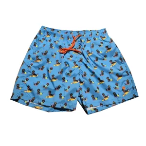 Gallo boxer mare AP513853 12766 cani a cannes