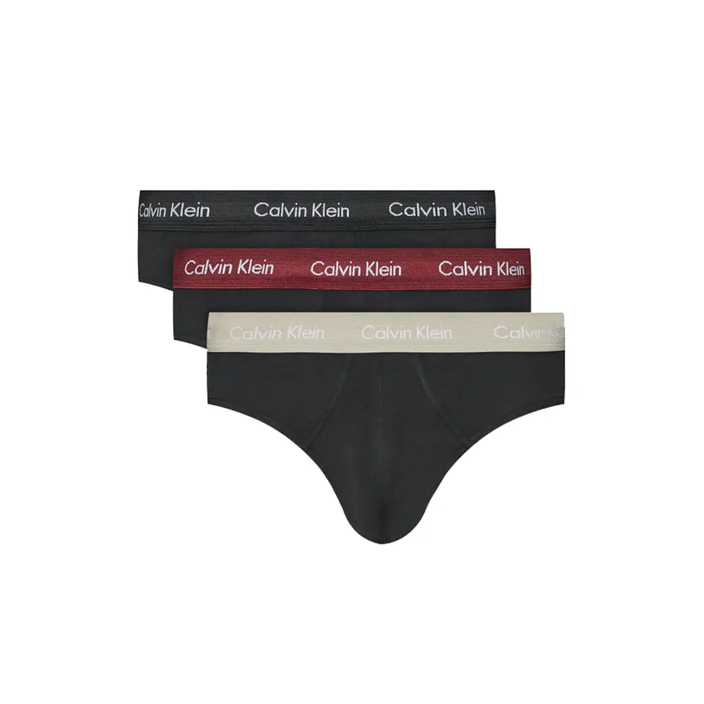 Calvin Klein 3 Pack Hip Briefs - Black (Black/Tawny Port/Porpoise