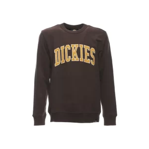 Dickies Felpa uomo DK0A4XABD711 Java