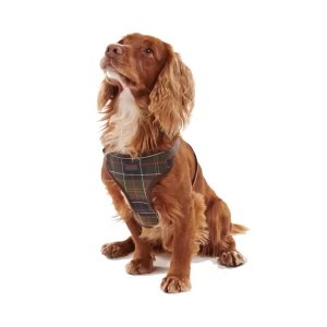 Pettorina da viaggio e da esercizio Barbour DAC0011TN11