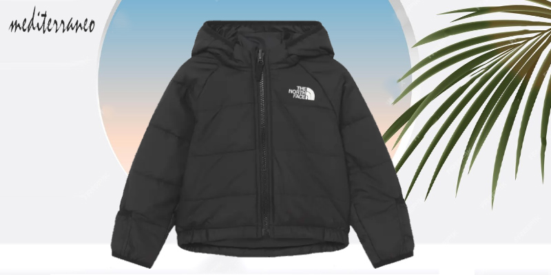 The North Face Giubbotto