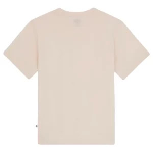 Dickies T shirt Mapleton DK0A4XDBF901 Whitecap Grey