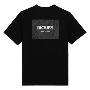 Dickies T shirt uomo Max Meadows DK0A4YRLBLK1 Black