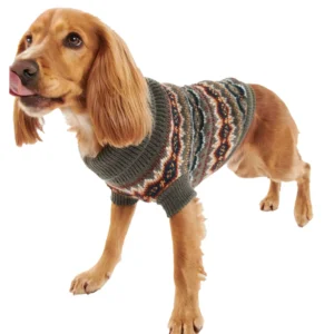 BARBOUR Maglioncino Cane Case Fair DC00041 OL11