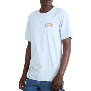 Dickies T shirt AITKIN CHEST TEE DK0A4Y80K541 Skyway