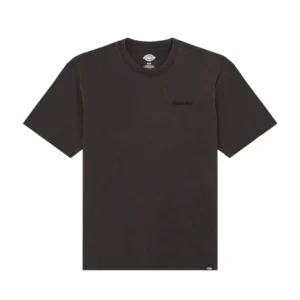 Dickies t shirt uomo Plentywood Ss Tee DK0A866BH861 Black