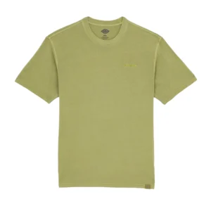 Dickies t shirt uomo Plentywood Ss Tee DK0A866BL201 Evergreen Spring