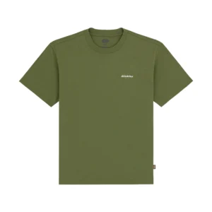 Dickies T shirt Loretto Ss Tee DK0A89ENK721 Cypress