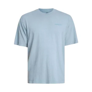 Dickies t shirt uomo Plentywood Ss Tee DK0A866BL391 Endless sky