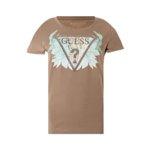 Guess t shirt Flower Triangle Tee W6GI12 K3027 G1EC Walnut Shell
