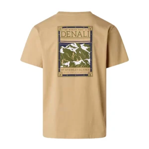 The North Face T shirt North Faces Reg Graphic NF0A8GUWLK51 Khaki stone